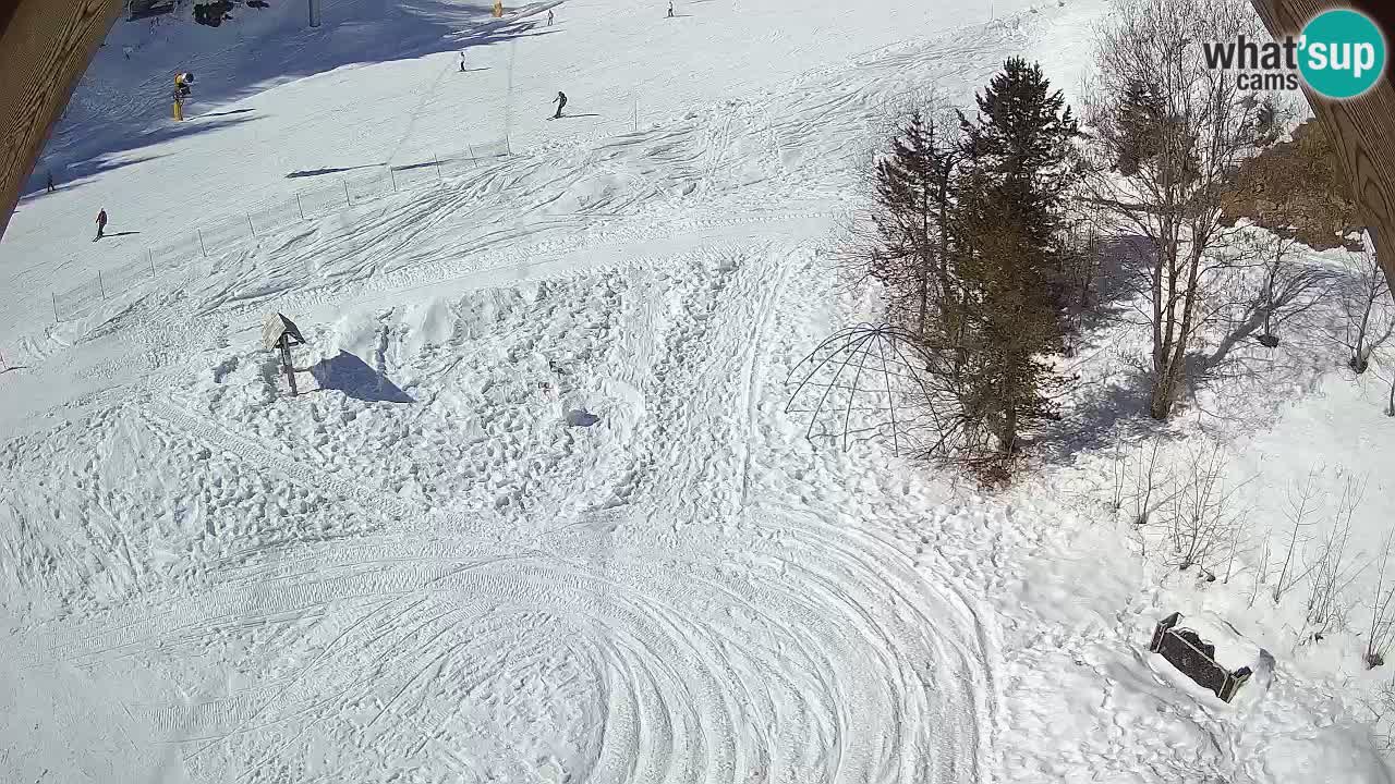 Stazione sciistica Zoncolan – Goles