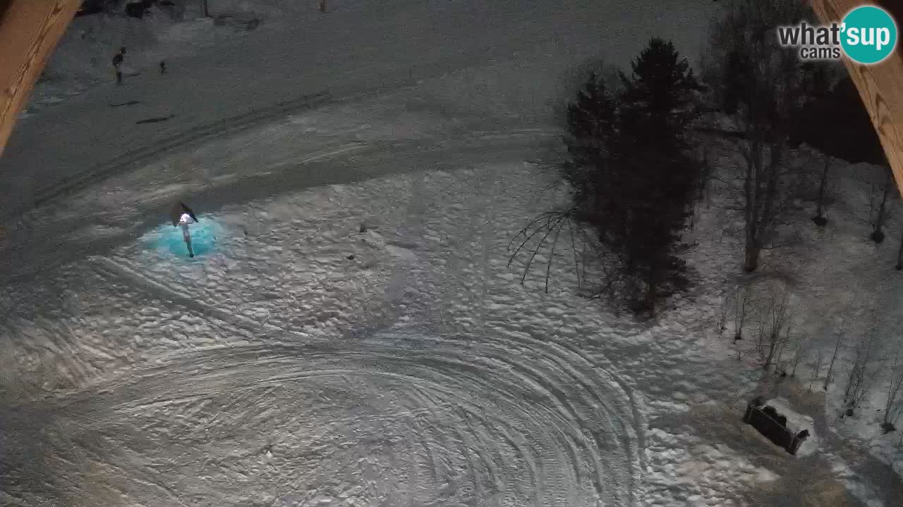 Station ski Zoncolan – Goles