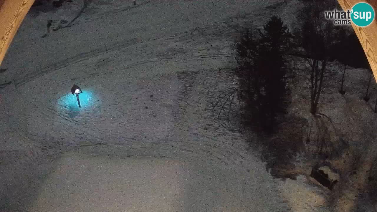 Estacion esqui Zoncolan – Goles