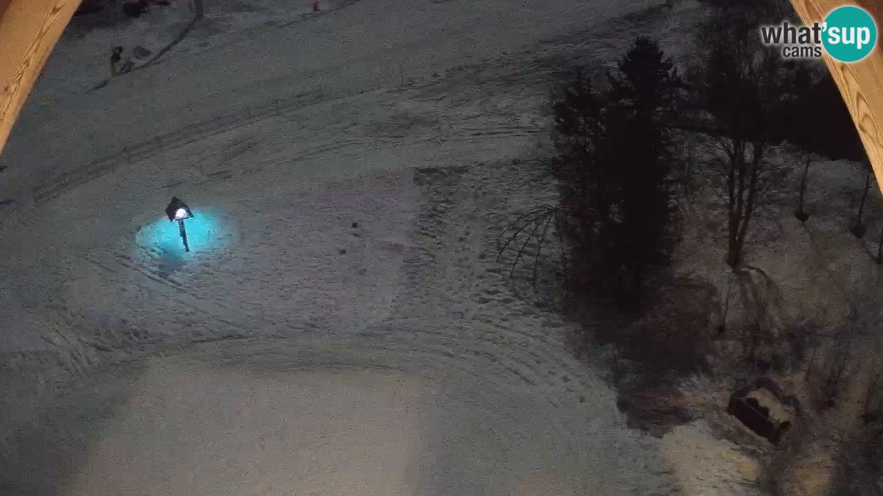 Estacion esqui Zoncolan – Goles