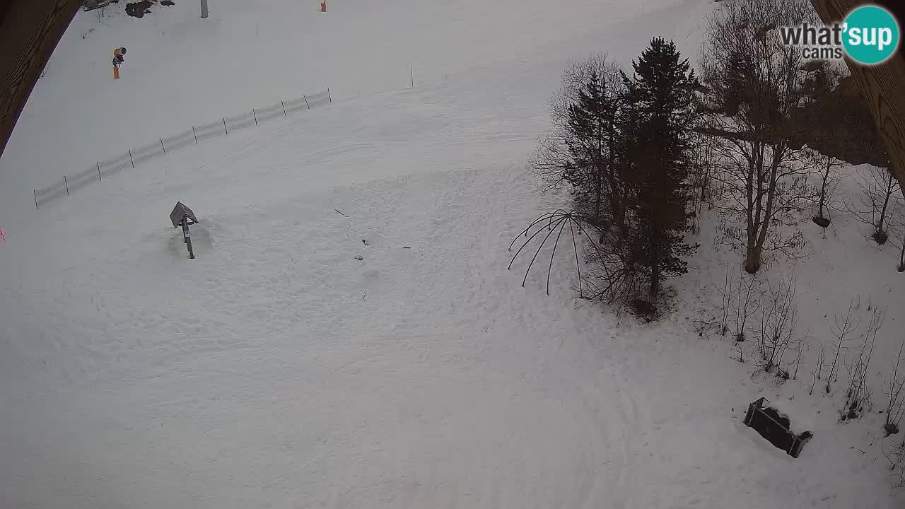 Ski resort Zoncolan mountain – Goles