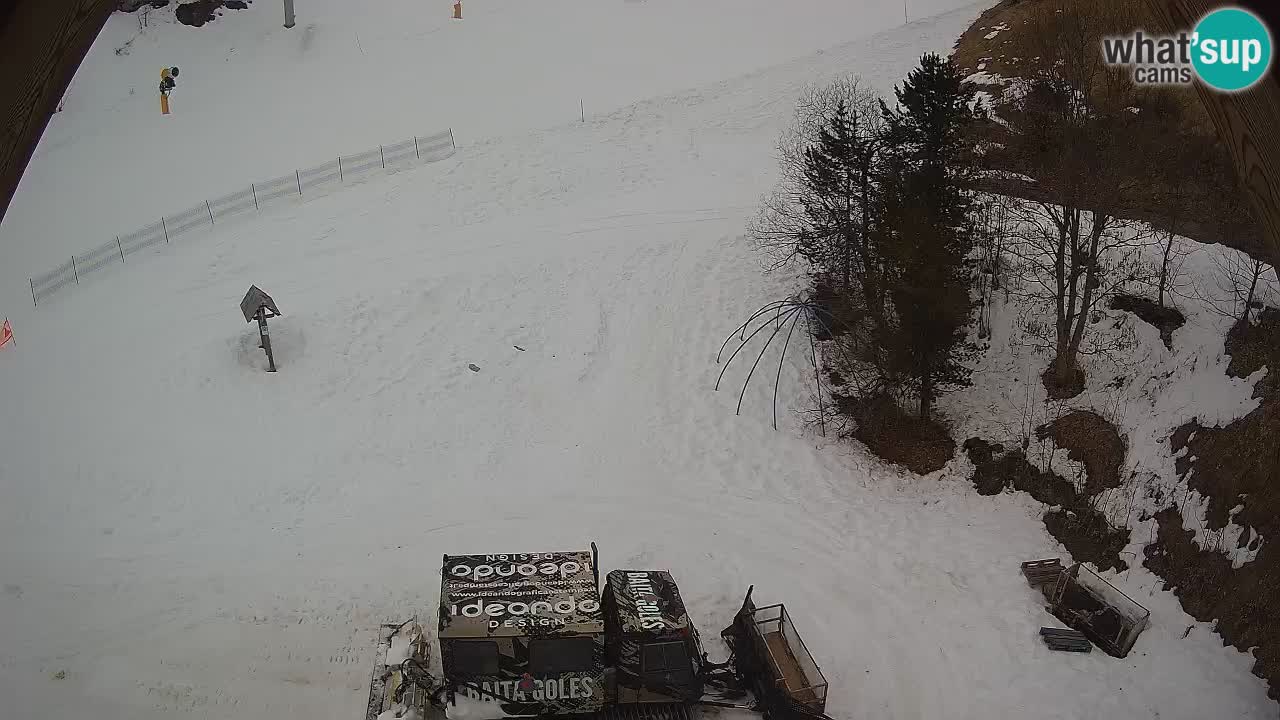 Smučišče Zoncolan – Goles