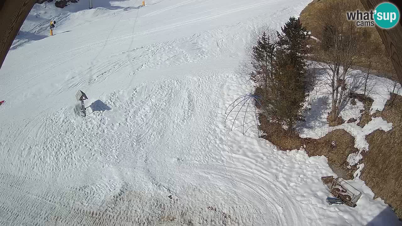 Smučišče Zoncolan – Goles