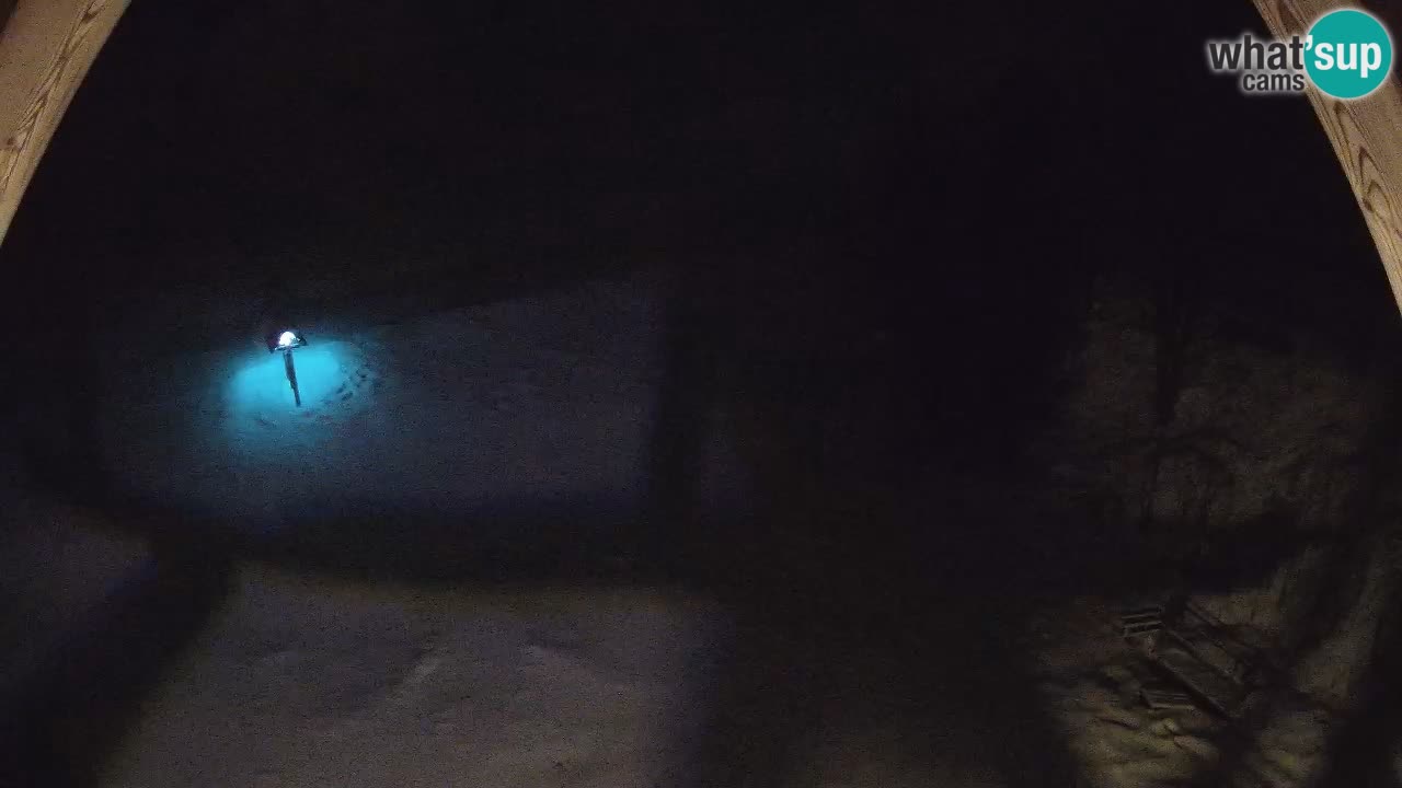 Skijalište Zoncolan – Goles