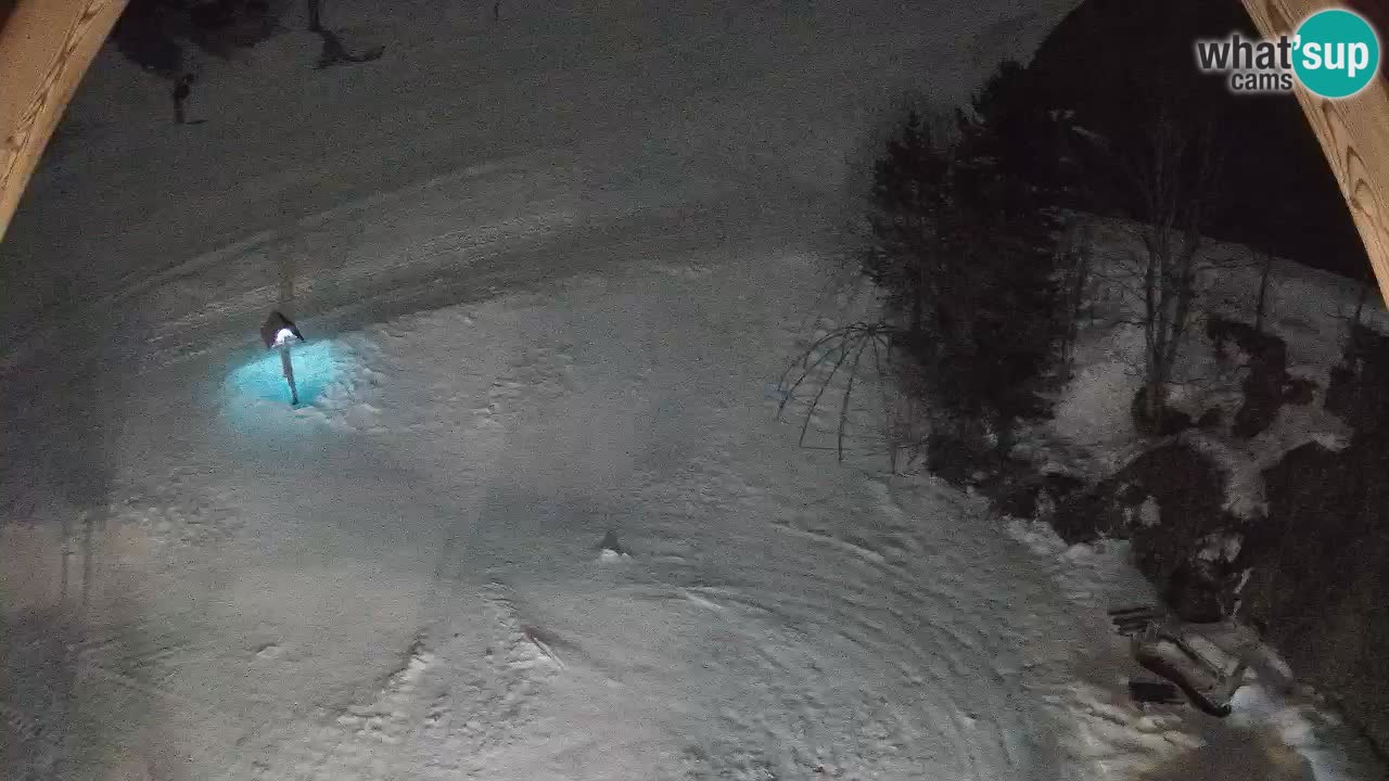 Estacion esqui Zoncolan – Goles