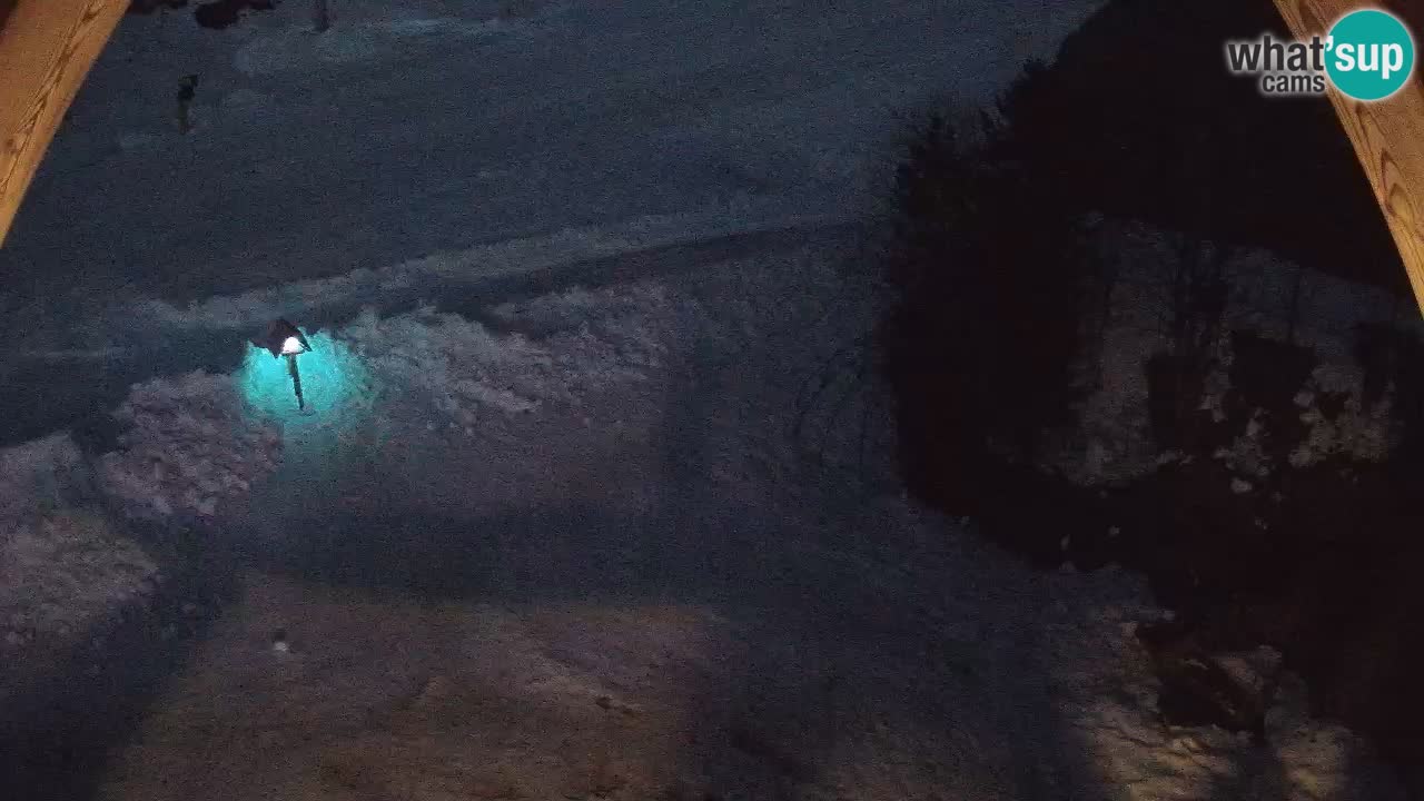 Estacion esqui Zoncolan – Goles