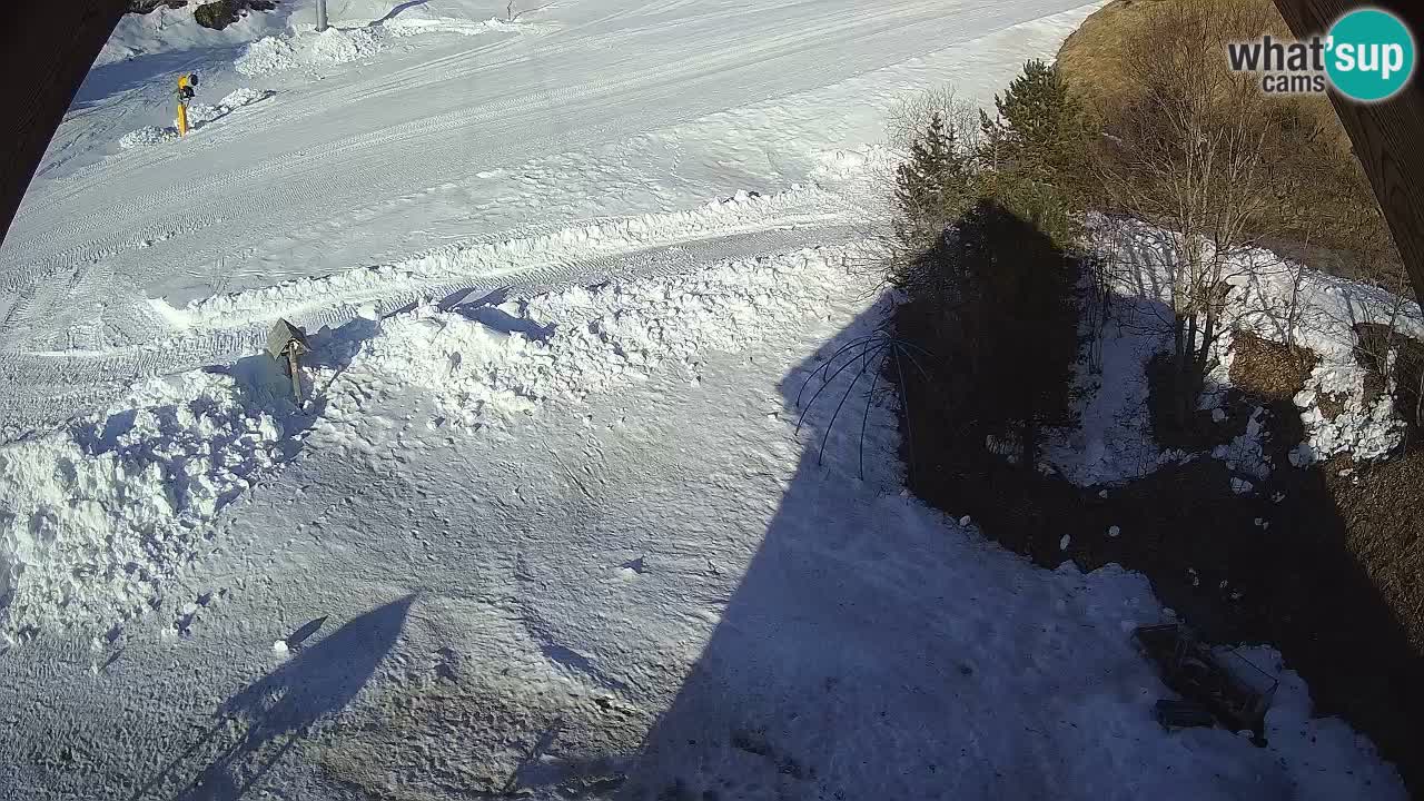 Skigebiet Zoncolan – Goles