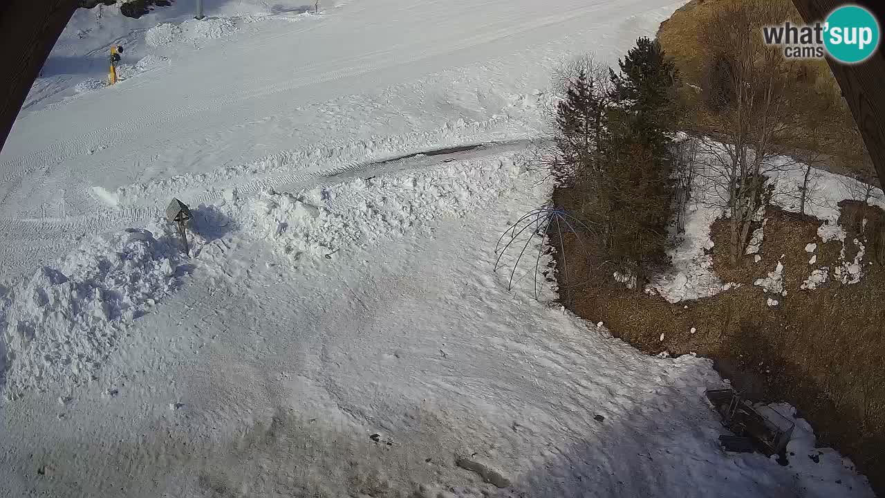 Ski resort Zoncolan mountain – Goles