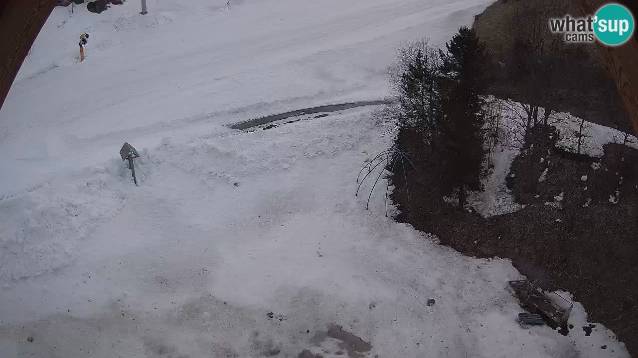 Smučišče Zoncolan – Goles