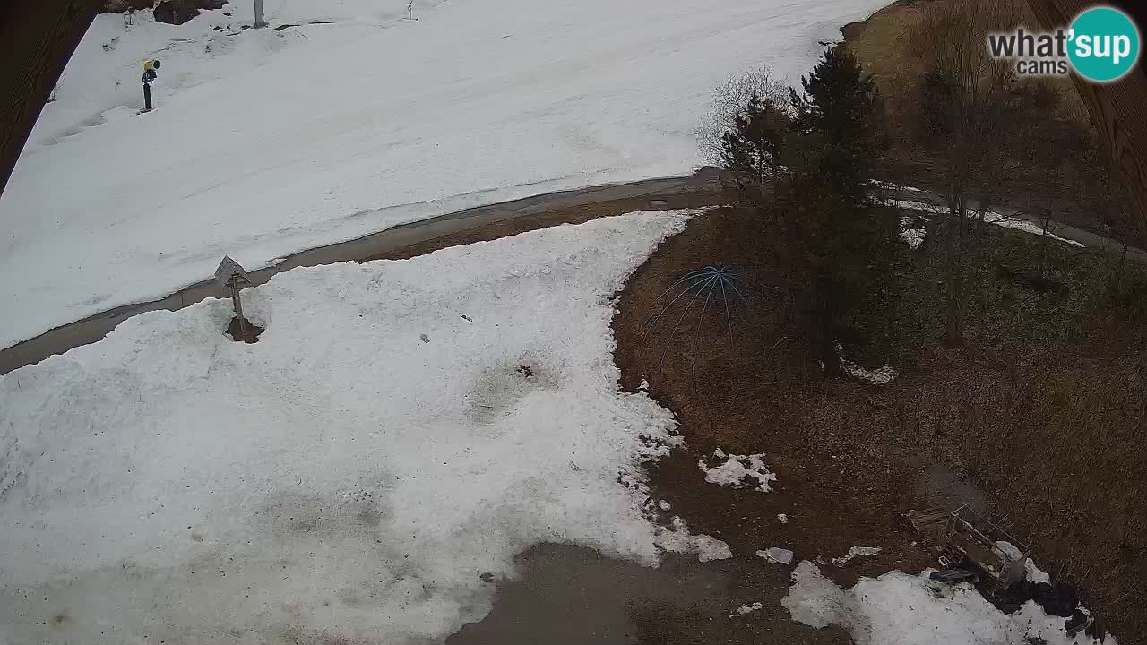 Station ski Zoncolan – Goles