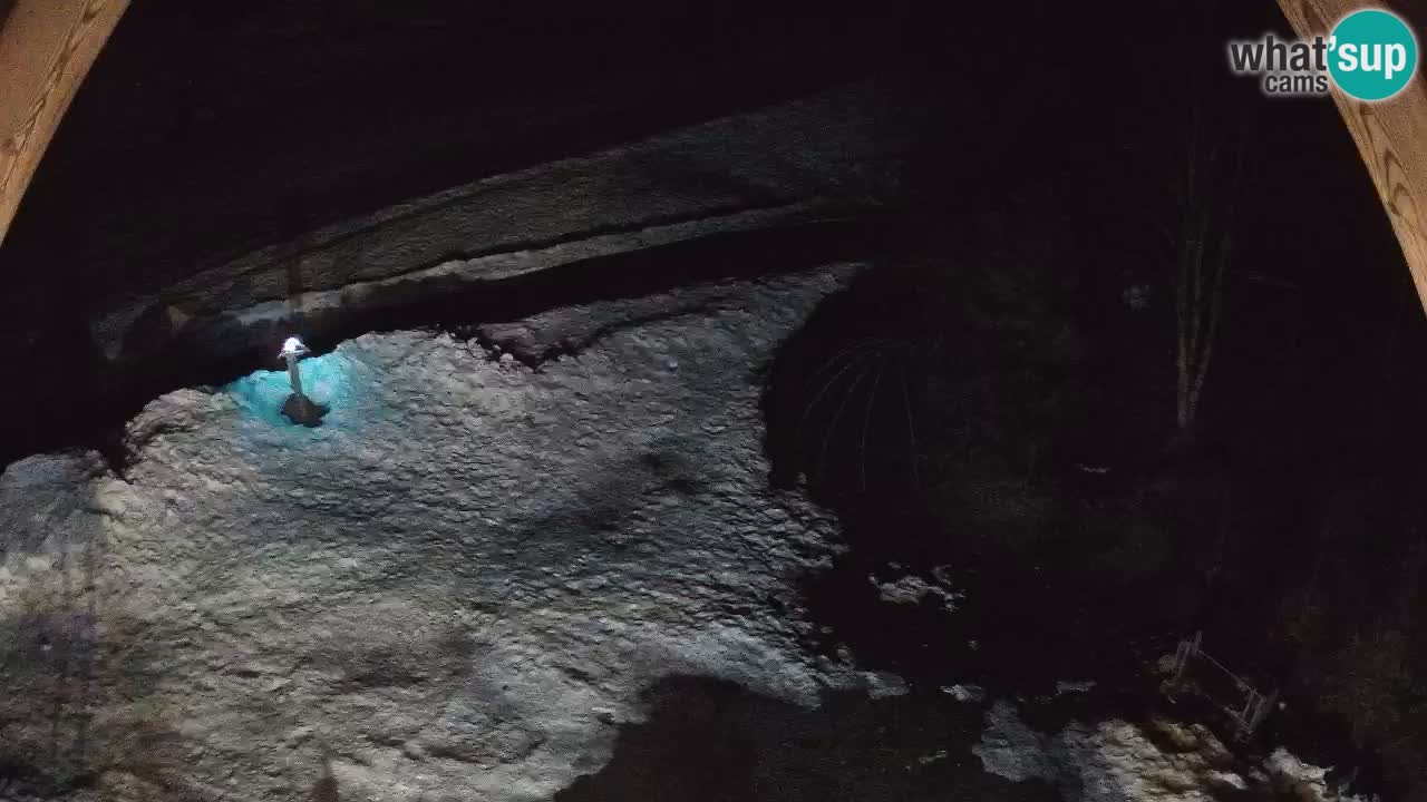 Smučišče Zoncolan – Goles