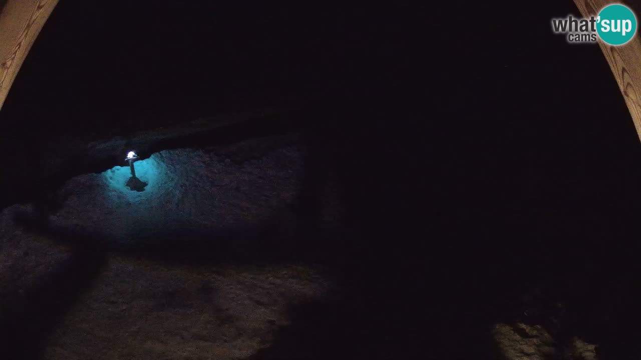 Estacion esqui Zoncolan – Goles