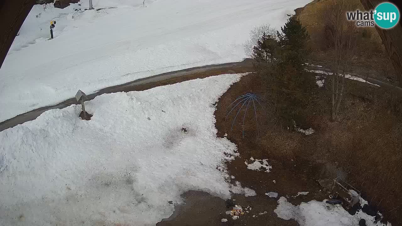 Skijalište Zoncolan – Goles