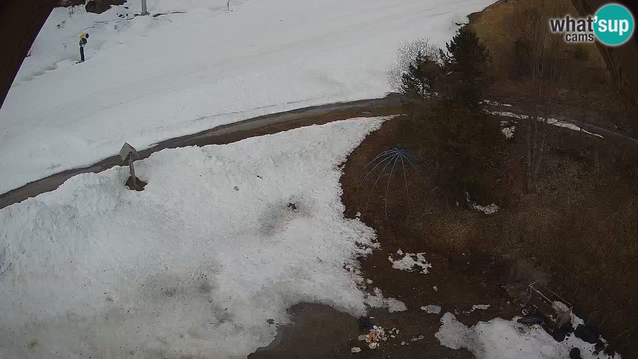 Estacion esqui Zoncolan – Goles