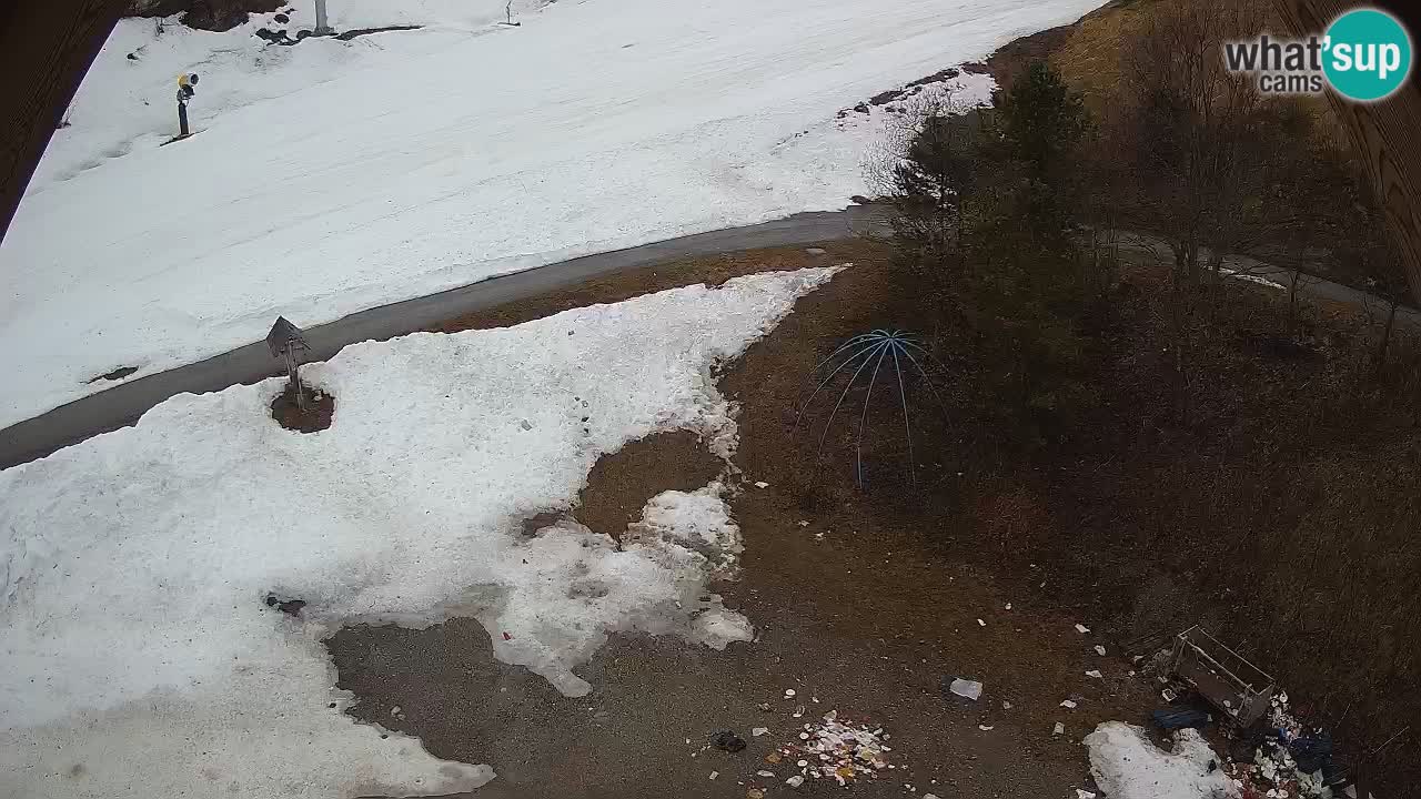 Estacion esqui Zoncolan – Goles