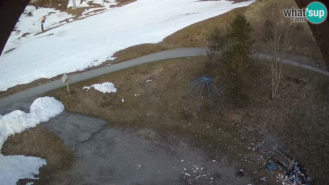 Skigebiet Zoncolan – Goles