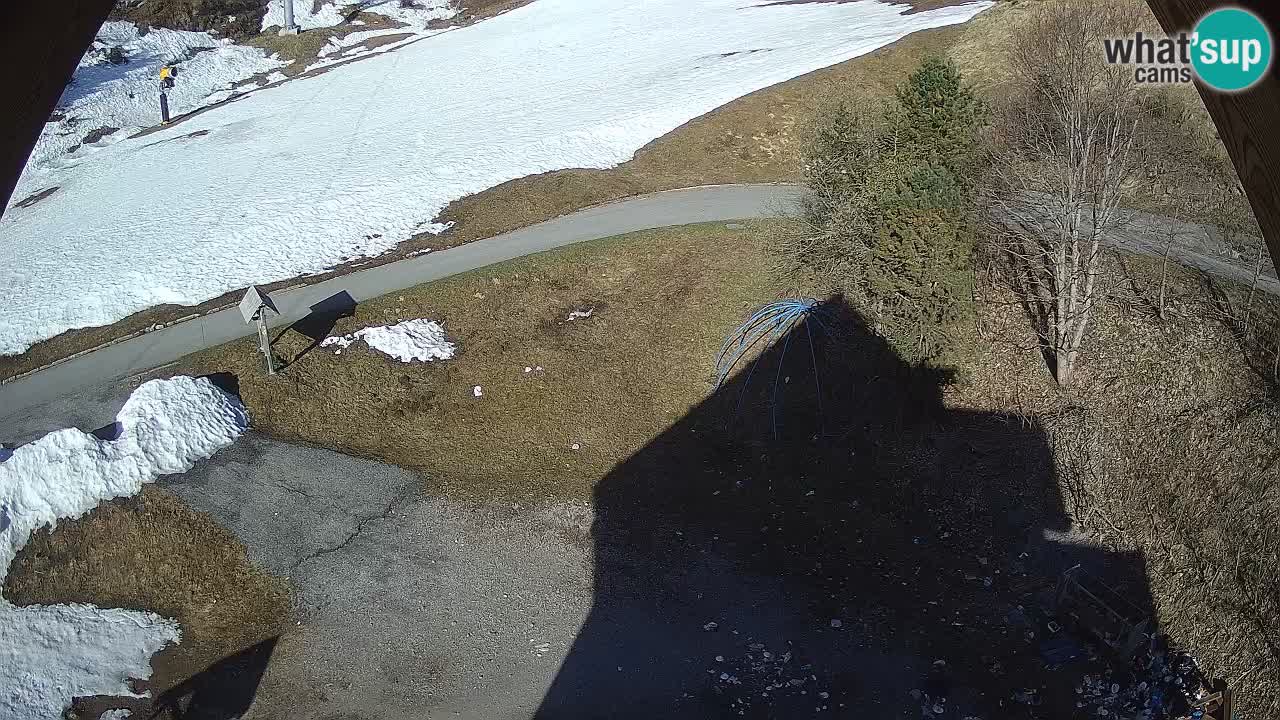 Smučišče Zoncolan – Goles