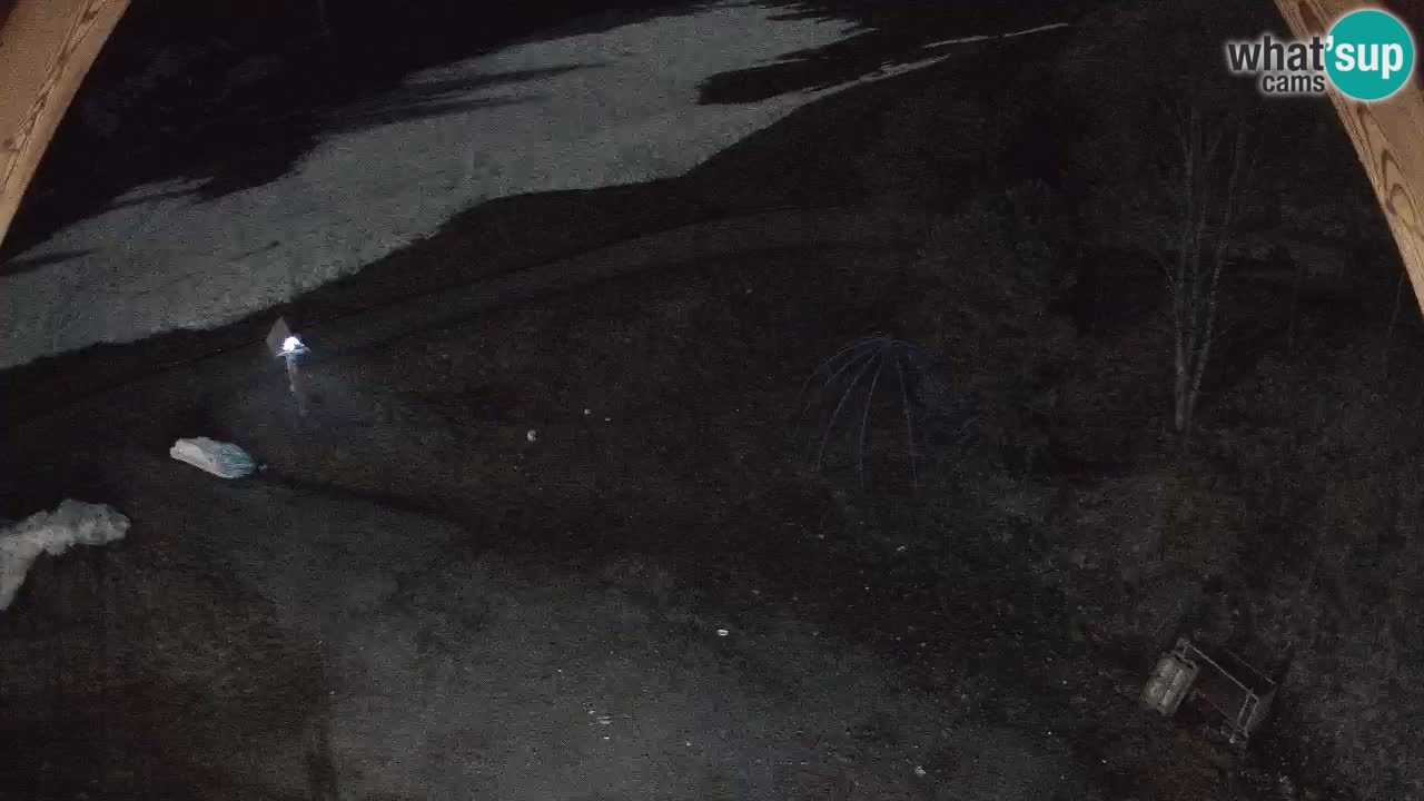 Skigebiet Zoncolan – Goles