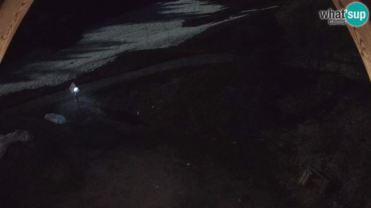 Stazione sciistica Zoncolan – Goles