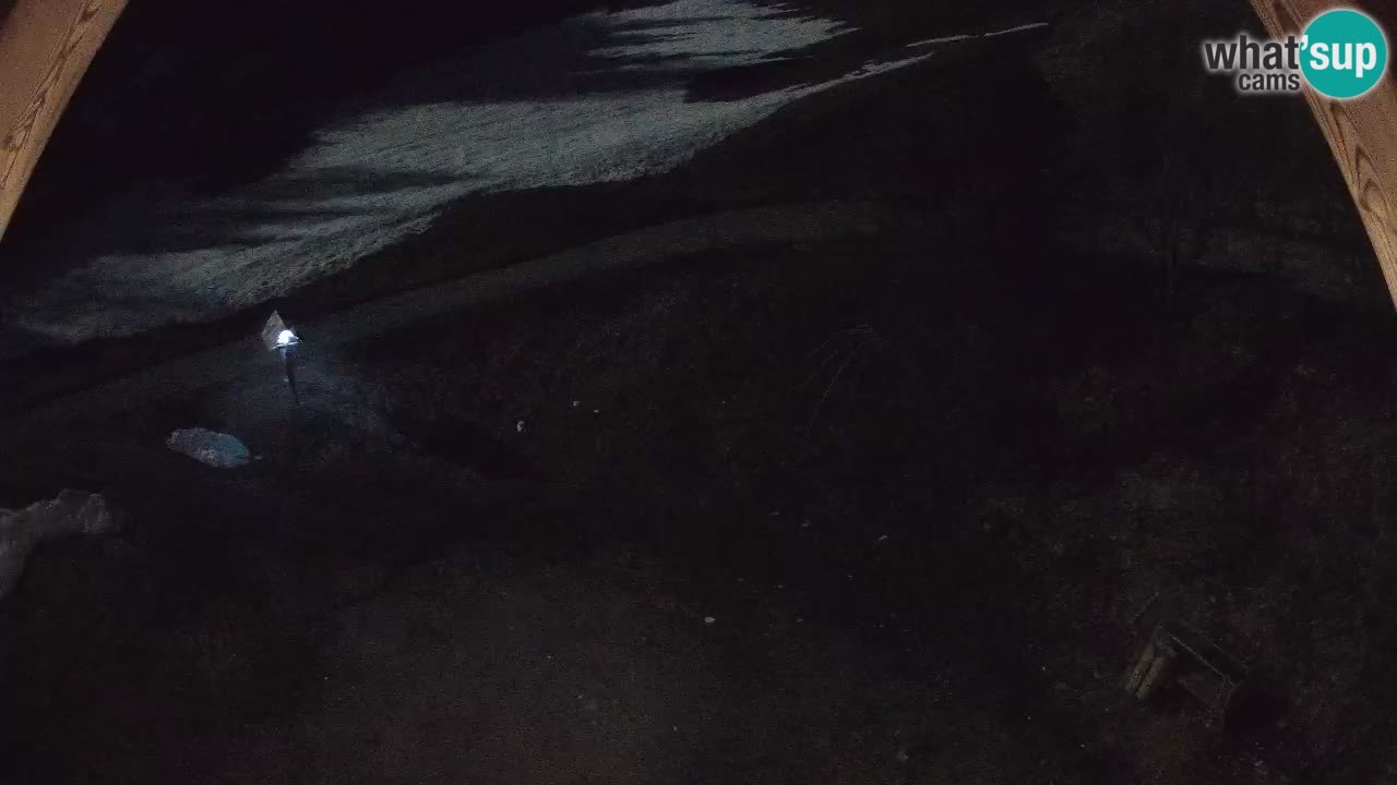 Ski resort Zoncolan mountain – Goles