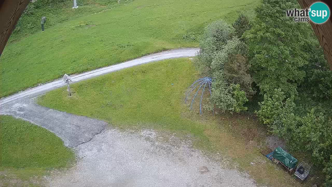 Smučišče Zoncolan – Goles