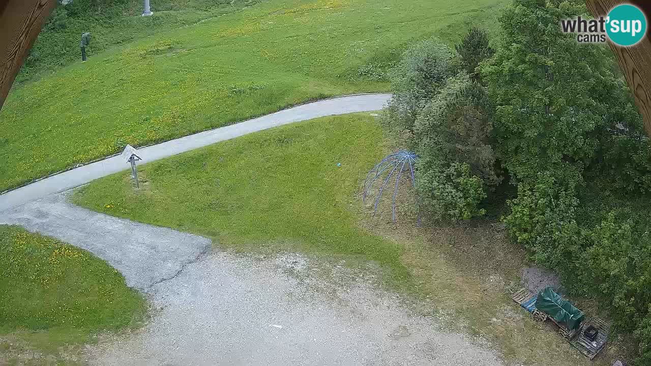 Ski resort Zoncolan mountain – Goles