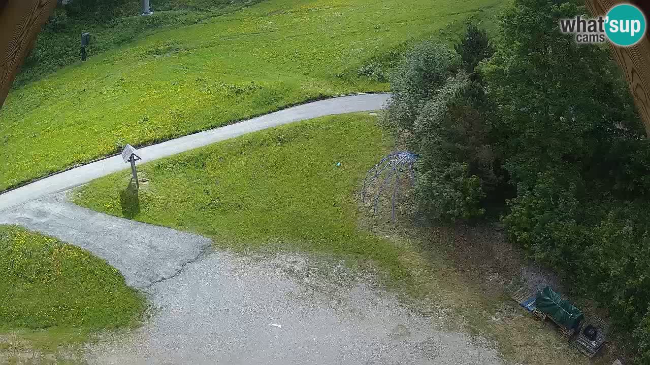 Ski resort Zoncolan mountain – Goles
