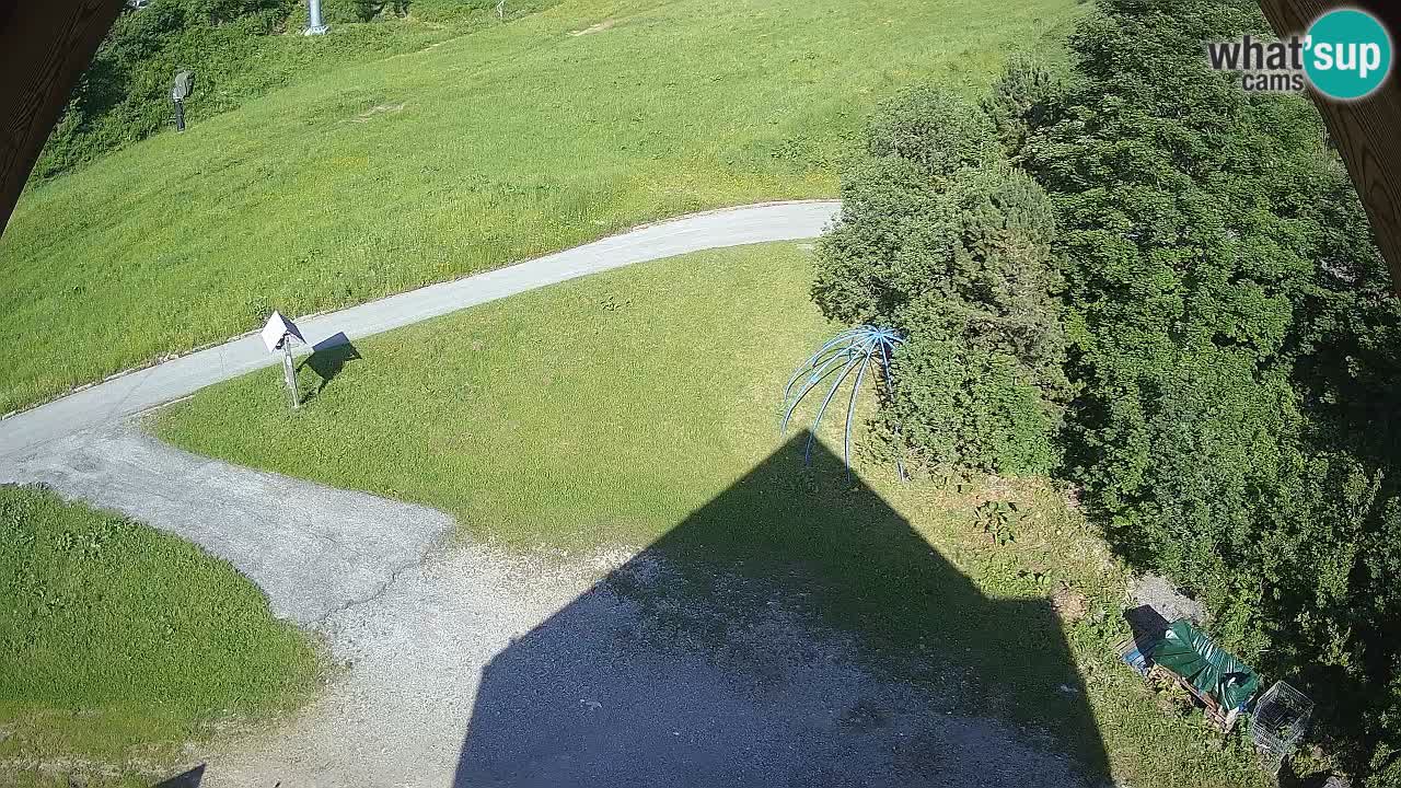 Skigebiet Zoncolan – Goles