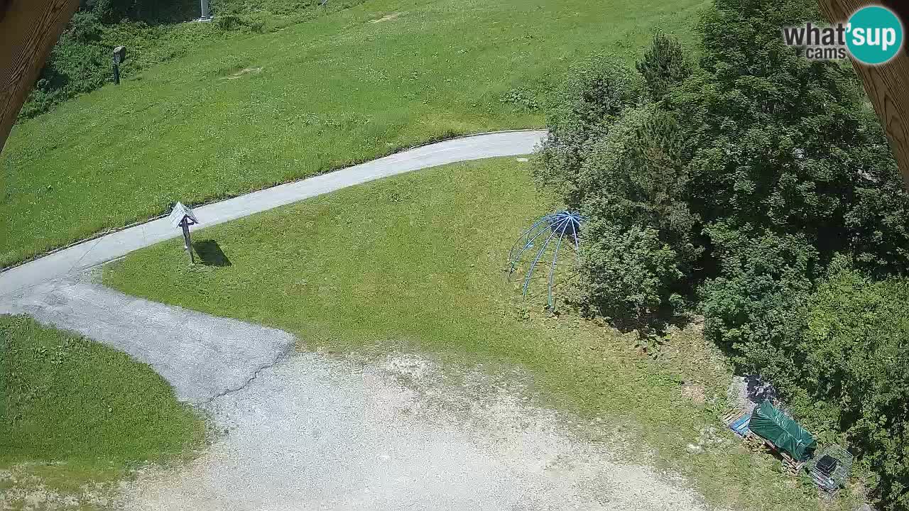 Smučišče Zoncolan – Goles