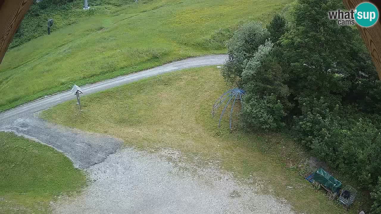 Smučišče Zoncolan – Goles