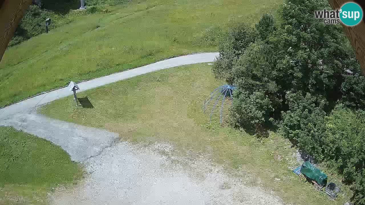 Skigebiet Zoncolan – Goles