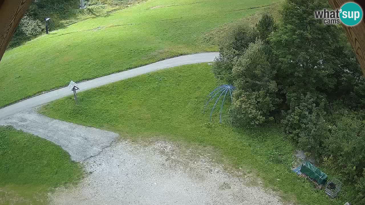 Ski resort Zoncolan mountain – Goles