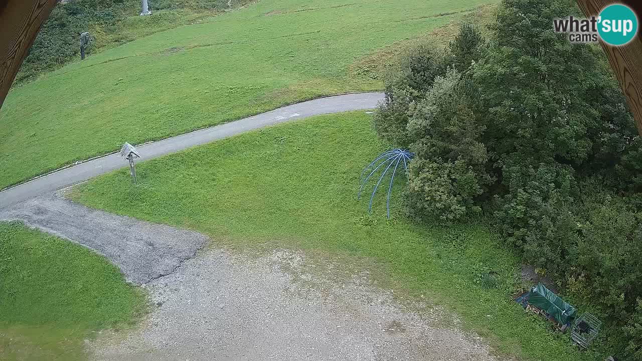 Smučišče Zoncolan – Goles