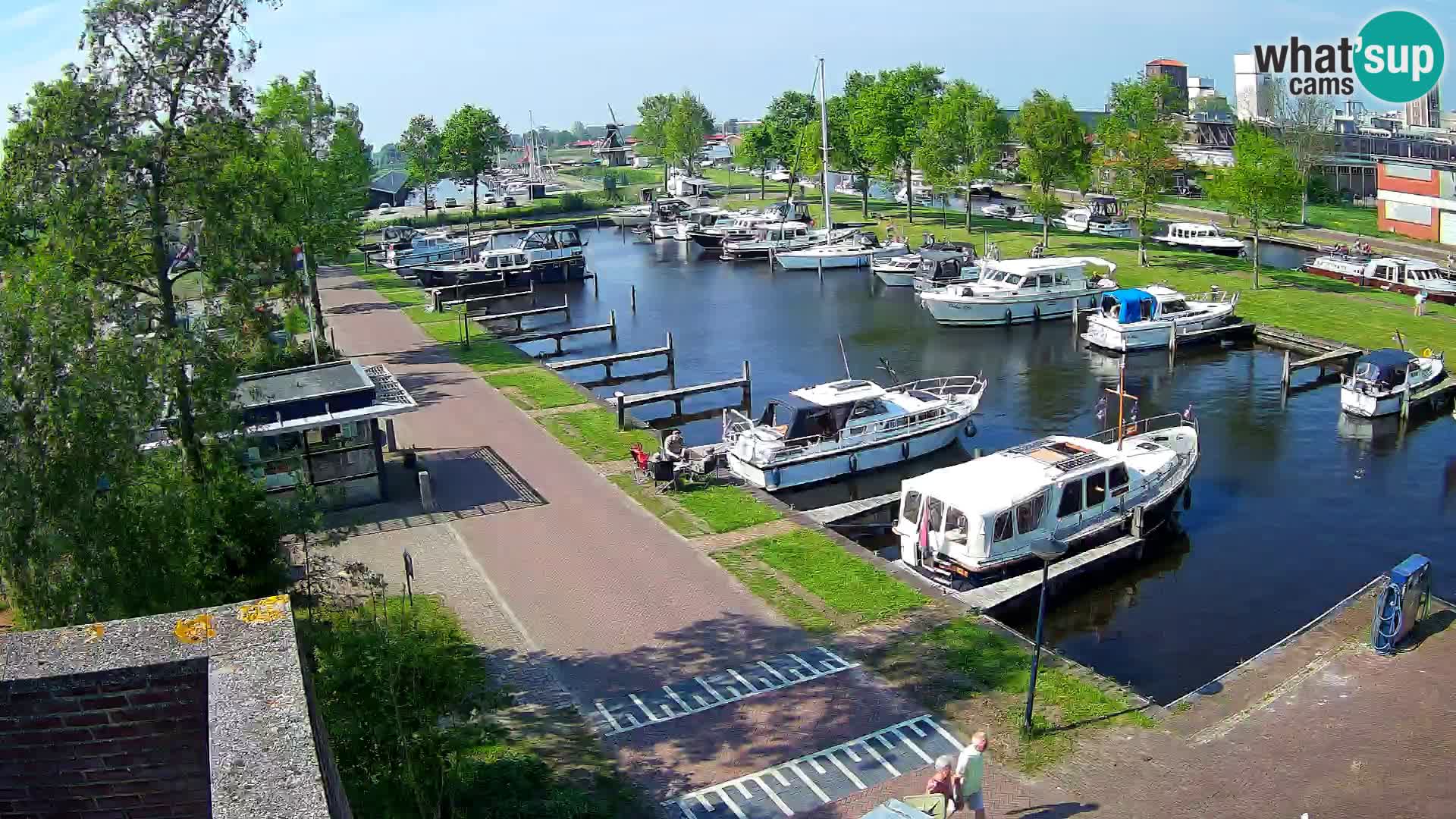 LIVE Joure Hafen webcam Windmühle