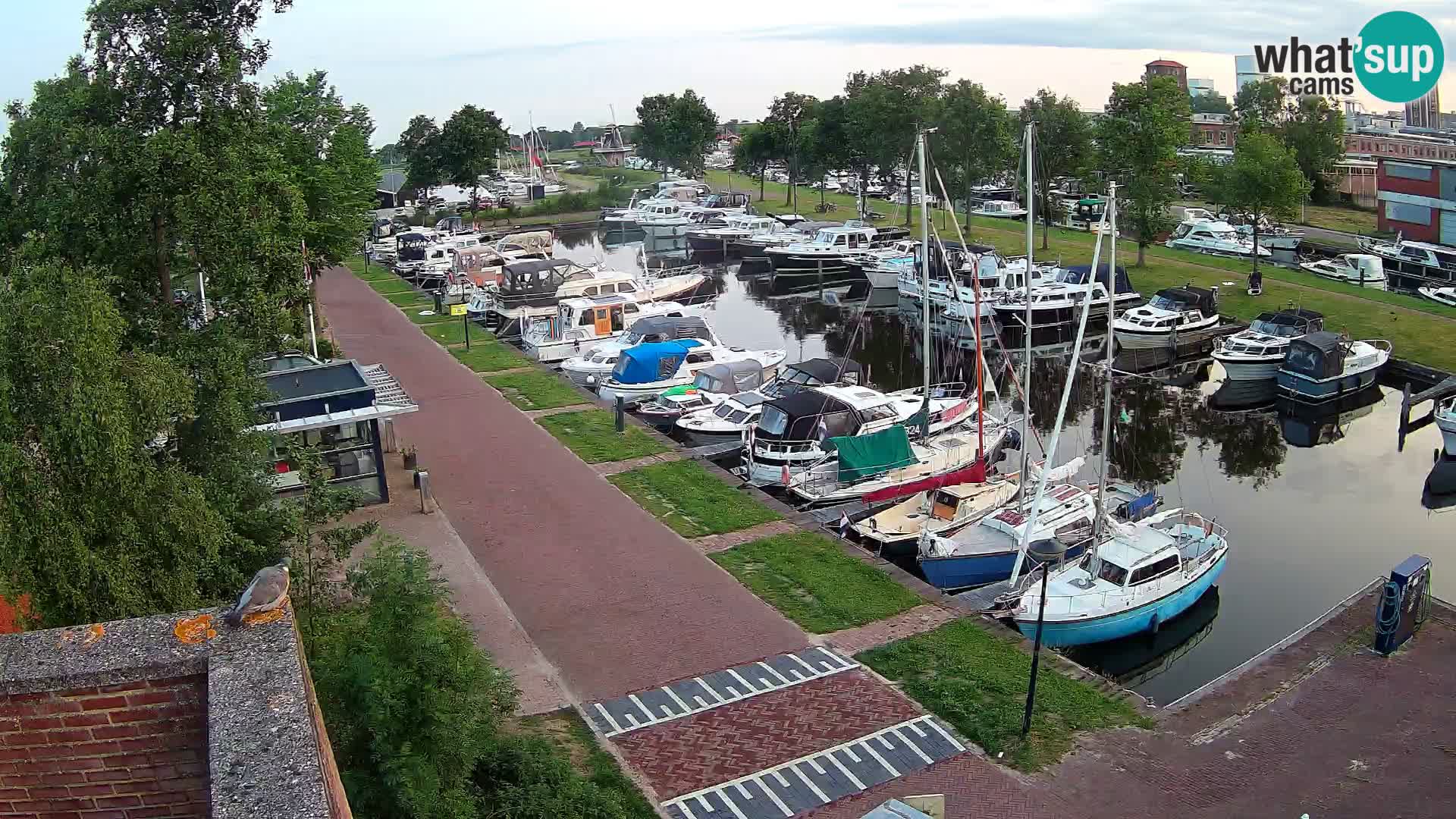 La marina di Joure livecam  – Vista del Mulino a vento