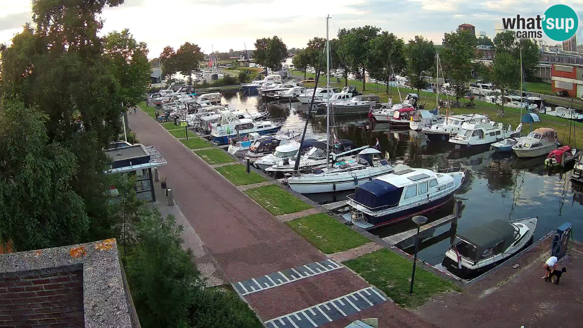 Joure harbour webcam – windmill view