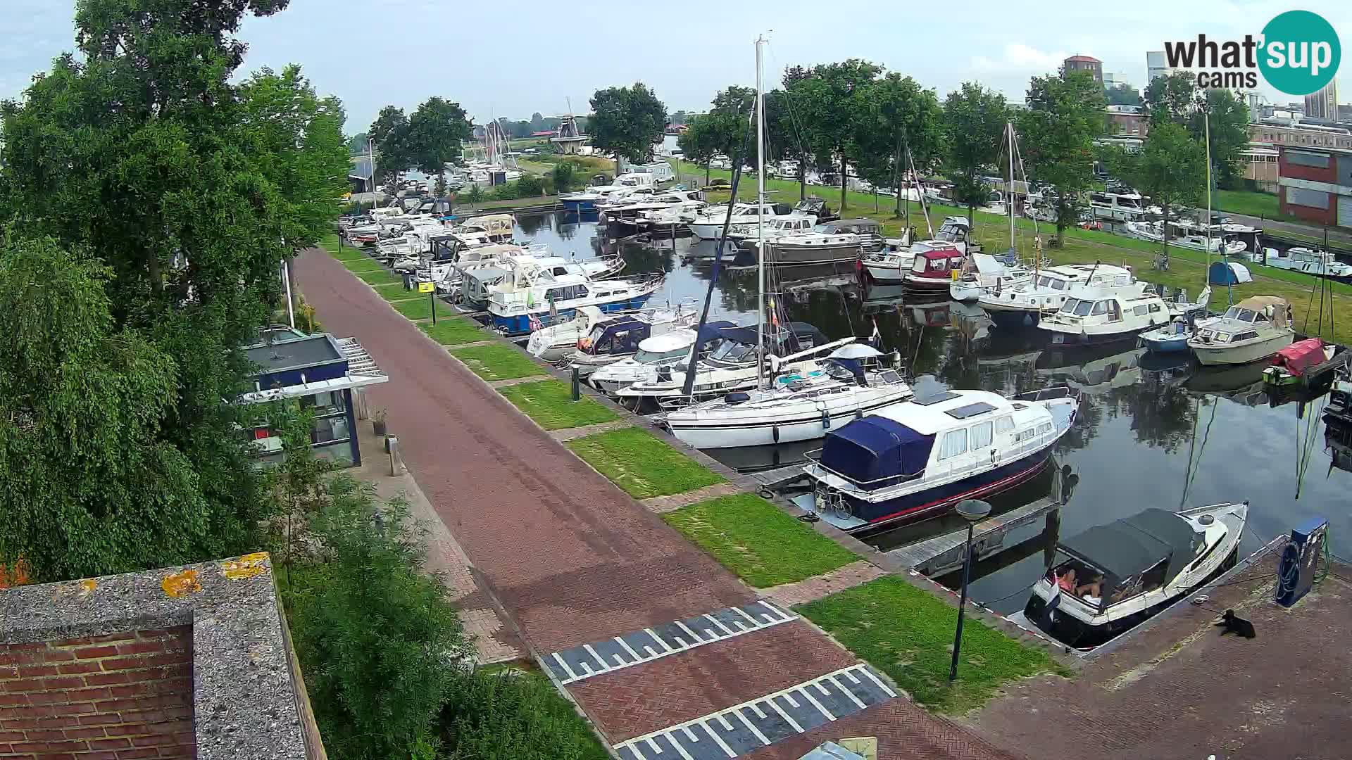 Camera en vivo Joure puerto – Molino de viento