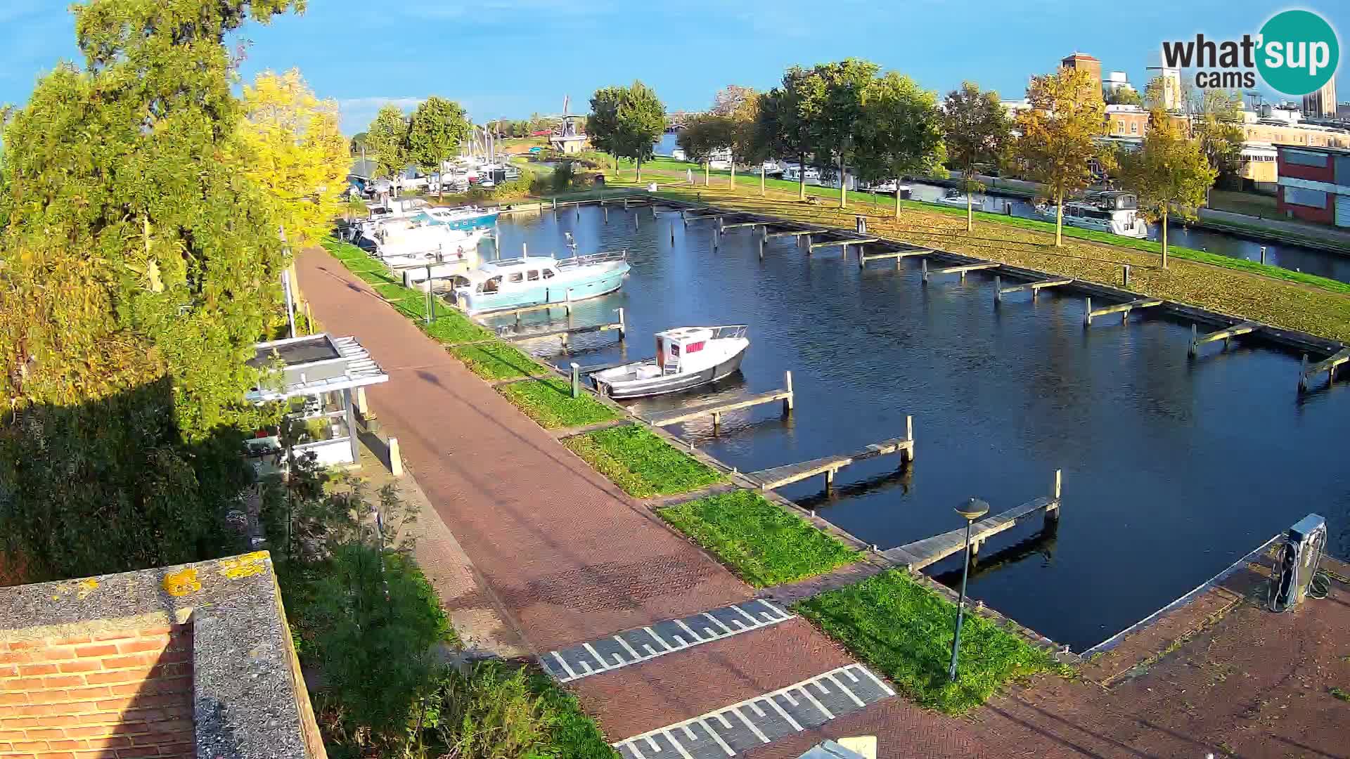 La marina di Joure livecam  – Vista del Mulino a vento