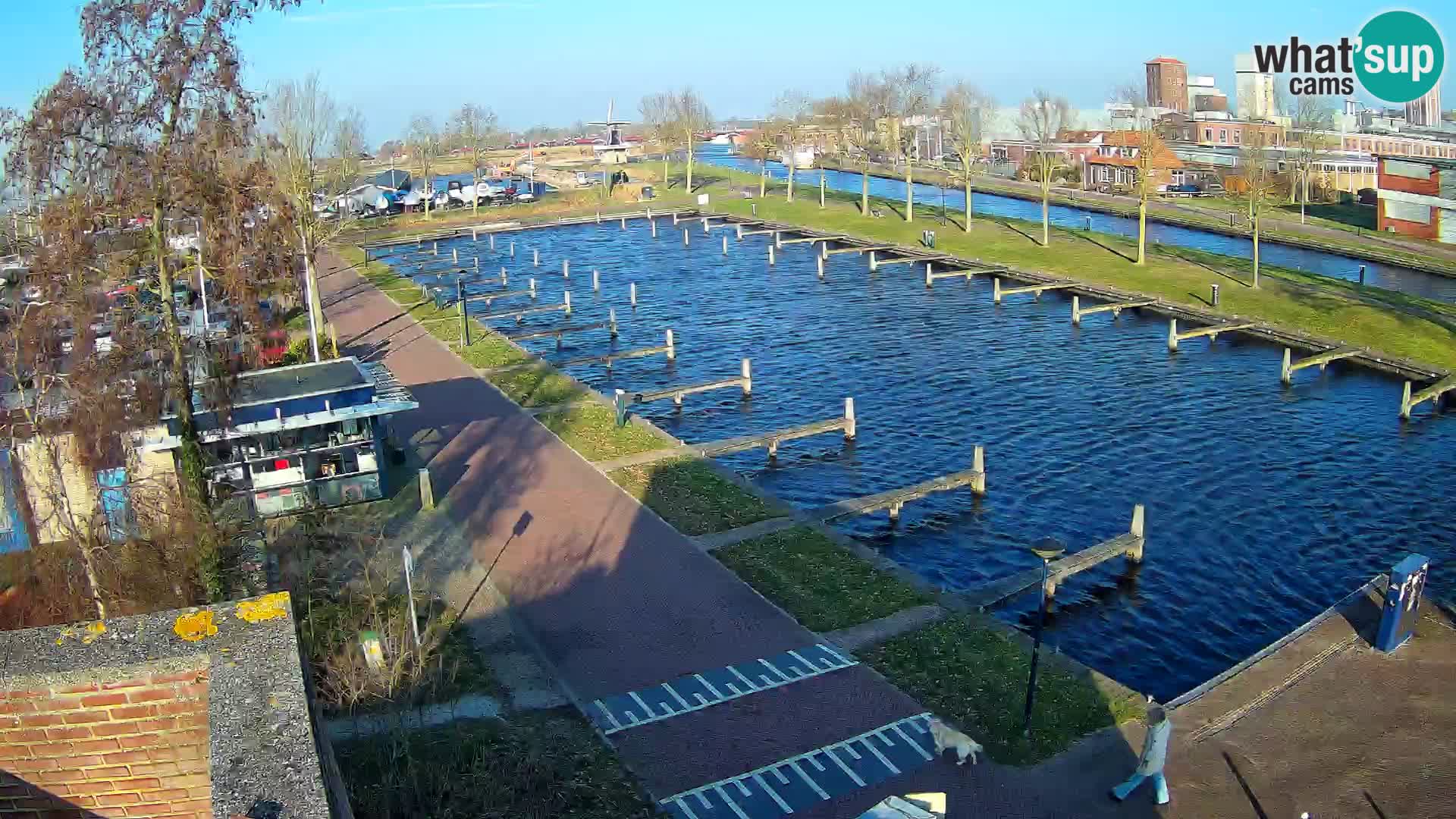 LIVE Joure Hafen webcam Windmühle