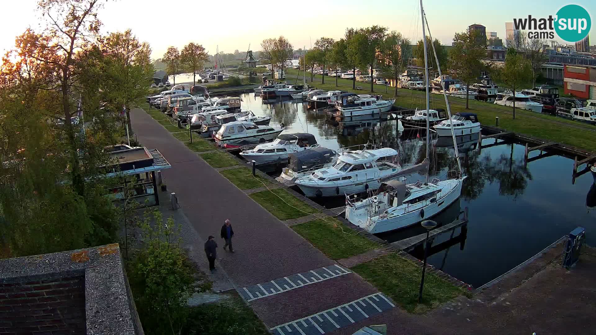 LIVE Joure Hafen webcam Windmühle