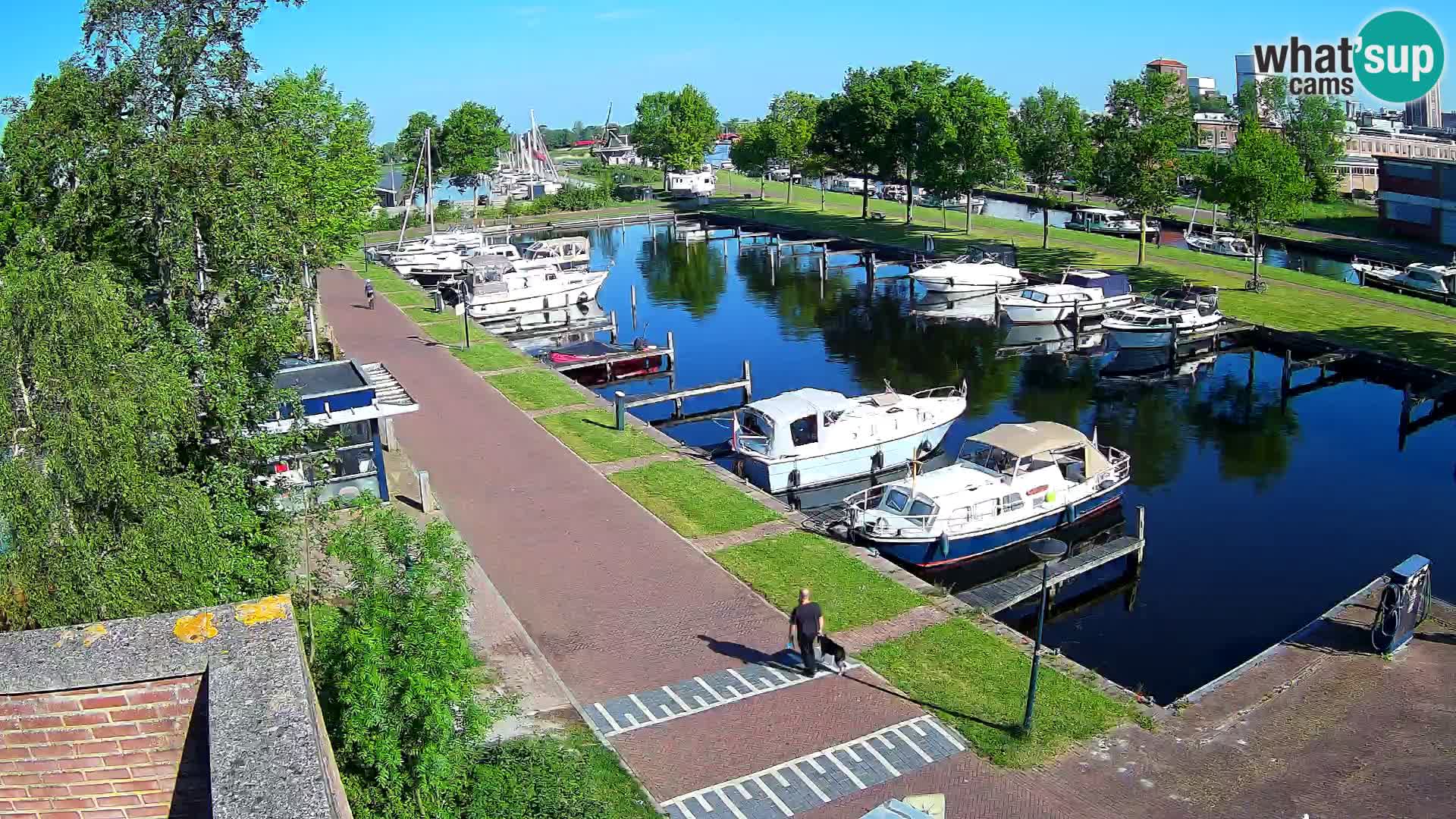 La marina di Joure livecam  – Vista del Mulino a vento
