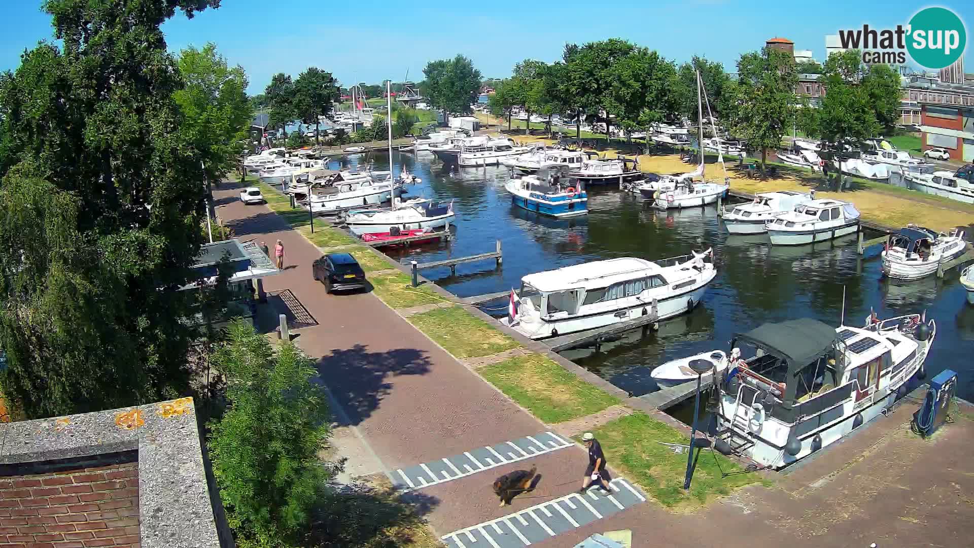 La marina di Joure livecam  – Vista del Mulino a vento