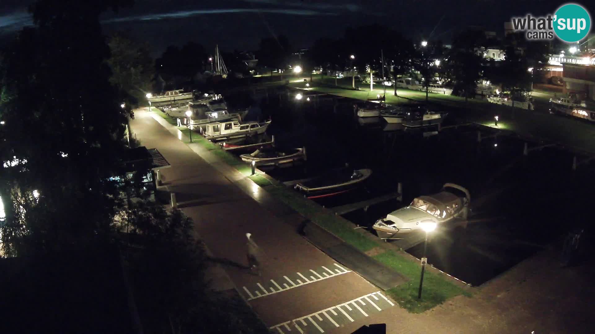 Spletna kamera Joure marina – Mlin na veter
