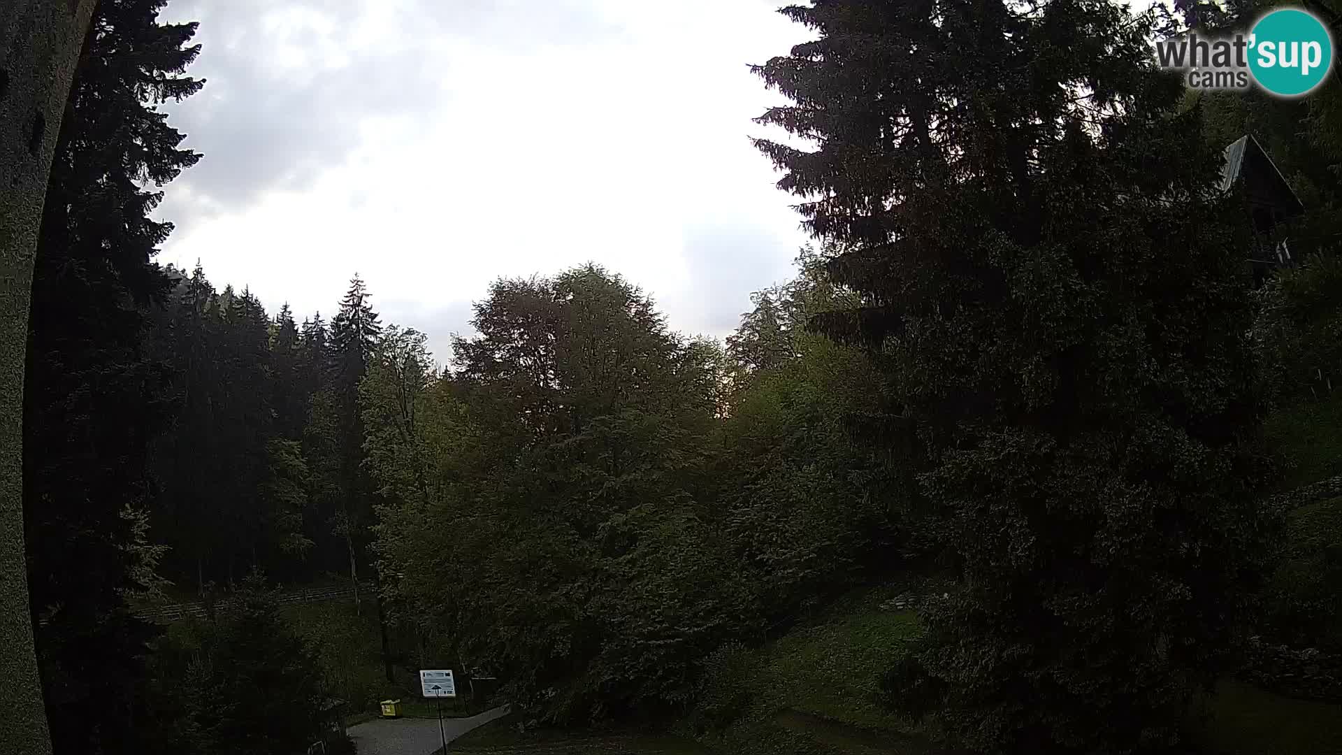 Spletna kamera Spalona – tekaški center v živo planine Bystrzyckie