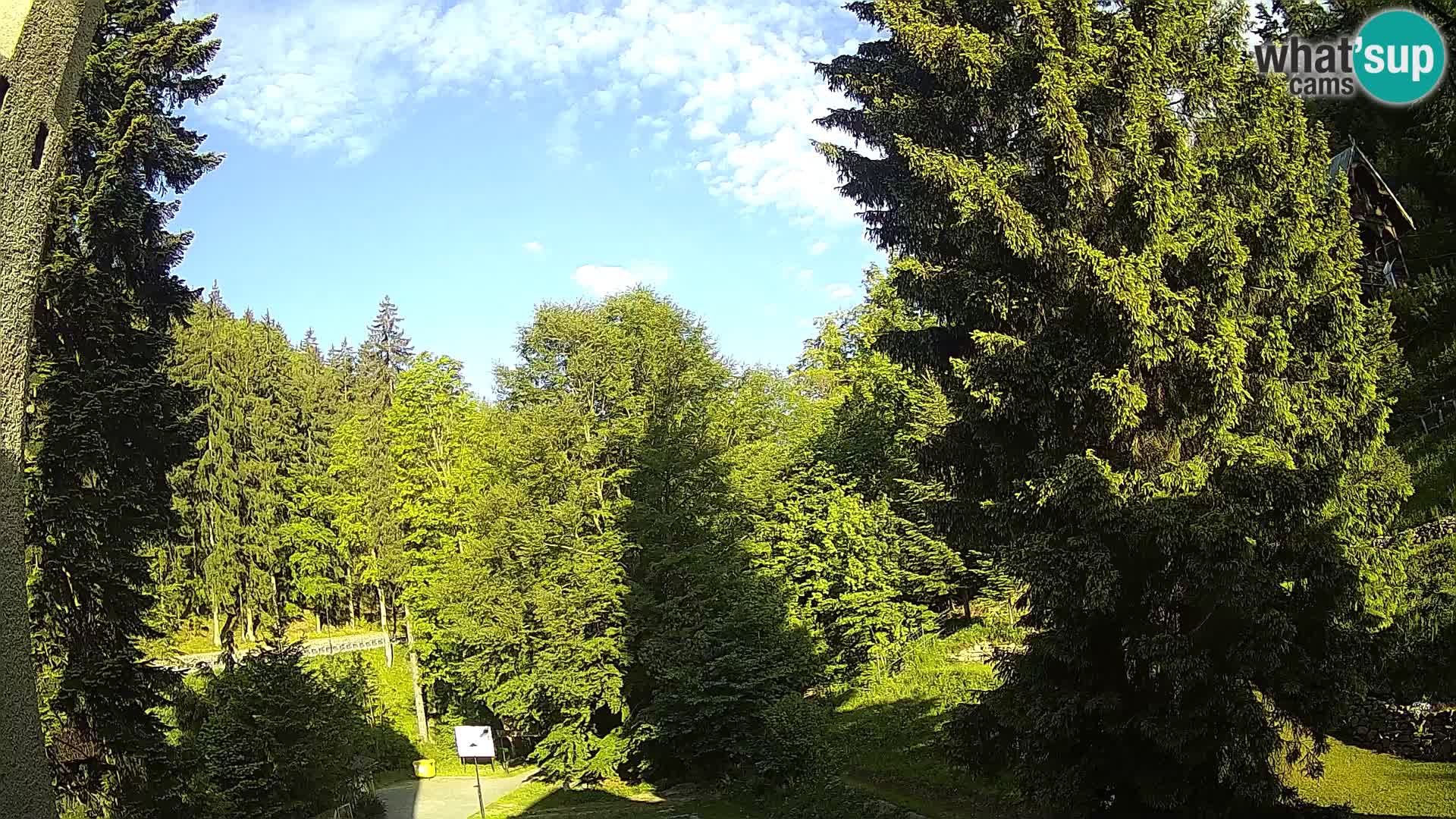 Webcam Spalona – centro scii da fondo live cam montagne Bystrzycki