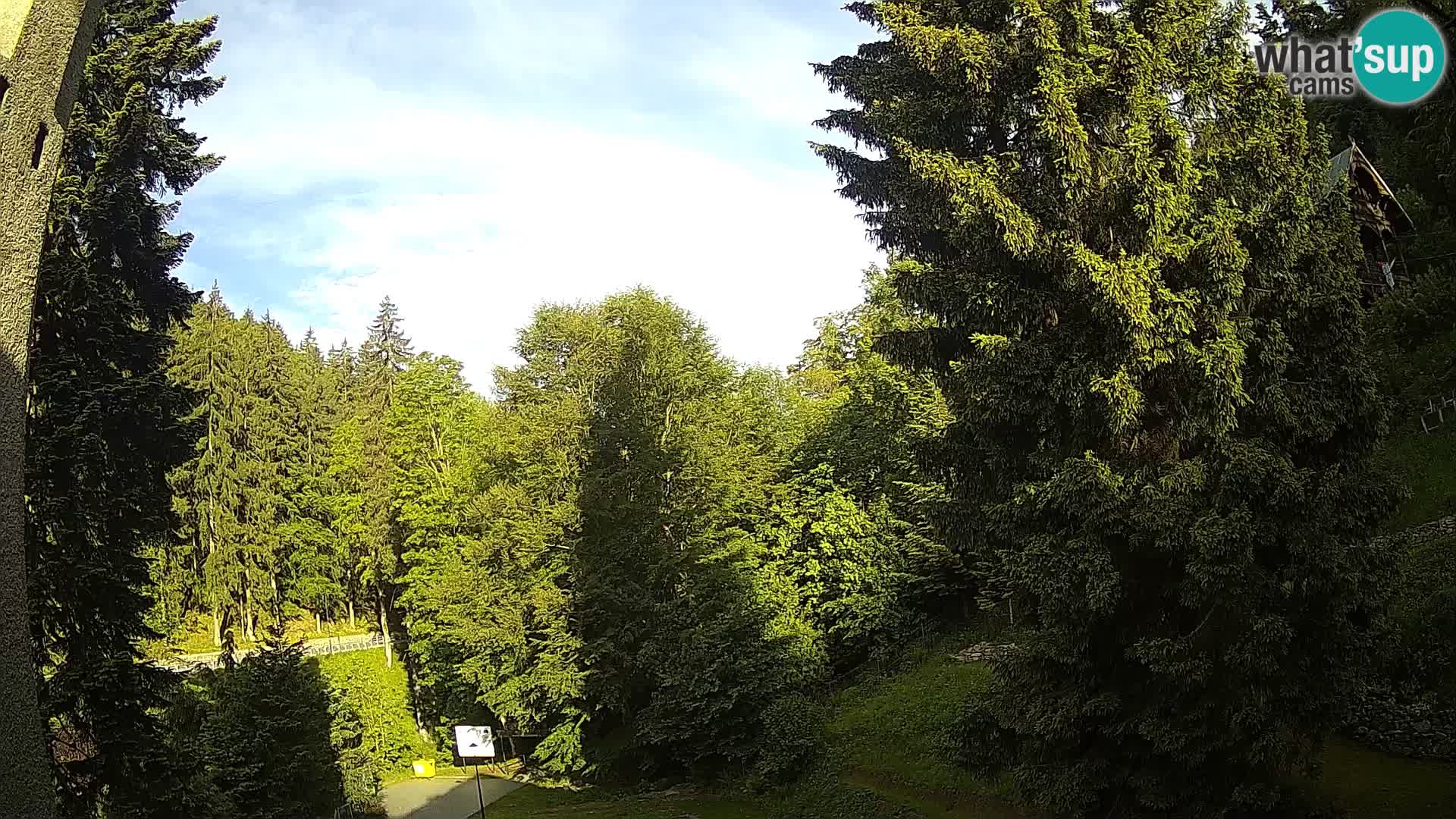 Web kamera Spalona – skijaški center u živo planine Bystrzycki