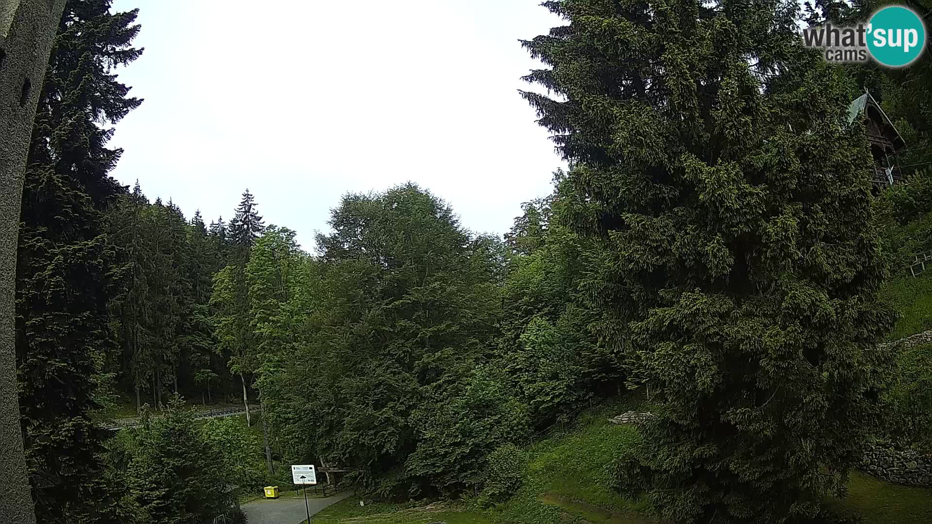 LIVE Webcam Spalona – Langlaufgebiet livecam Bystrzyckie Berge