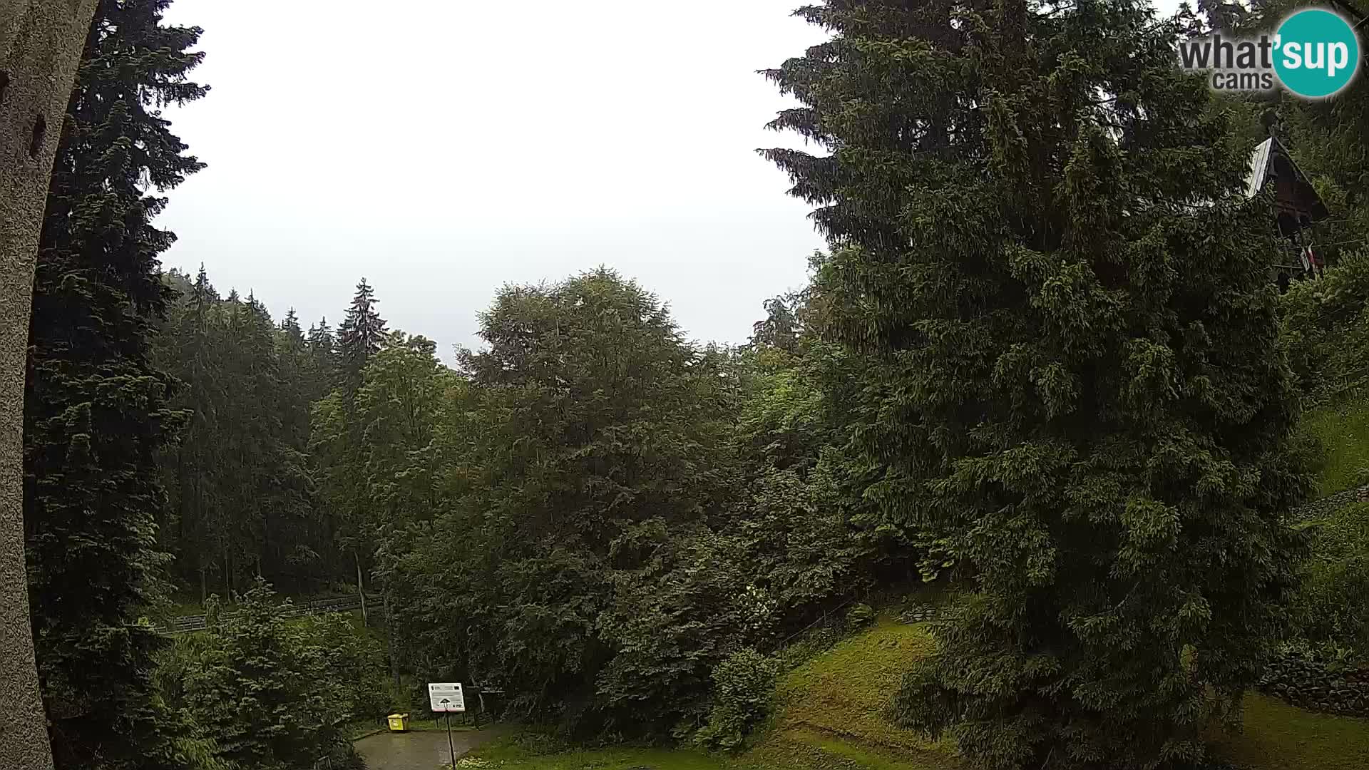 LIVE Webcam Spalona – Cross Country Ski Resort livecam Bystrzyckie Mountains