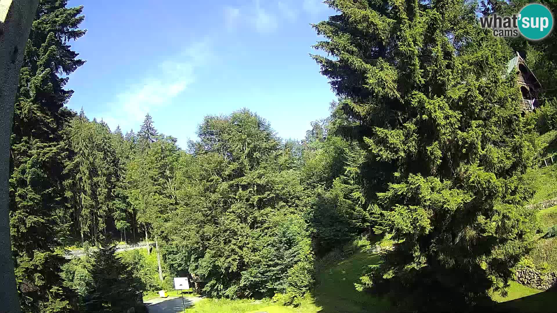 LIVE Webcam Spalona – Langlaufgebiet livecam Bystrzyckie Berge