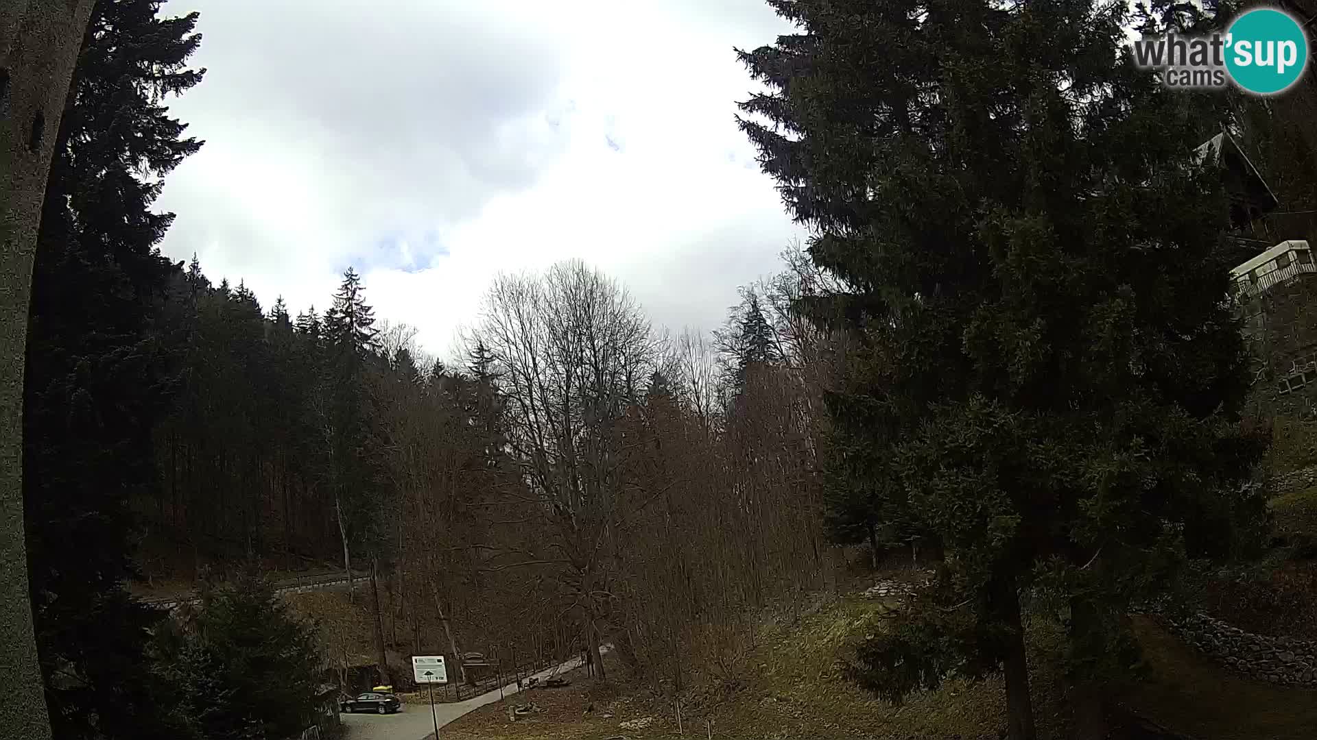 LIVE cam Spalona – Station de ski de fond Spalona webcam Montagnes Bystrzyckie